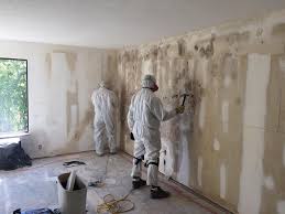 Mold Remediation for Rental Properties in Tuckerton, NJ